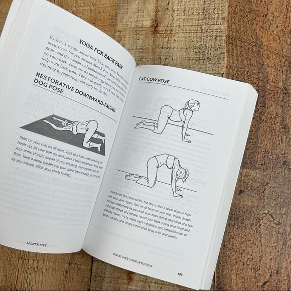 The Mindful Mom To Be Pregnancy Meditation Journaling Paperback Book - Picture 7 of 9